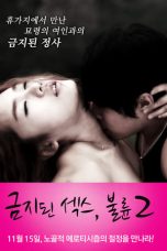 Nonton Film Forbidden Sex 2: Affair (2012) Subtitle Indonesia