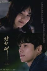 Nonton Film Little Bird (2021) Subtitle Indonesia