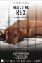 Nonton Film Rescuing Rex (2020) Subtitle Indonesia